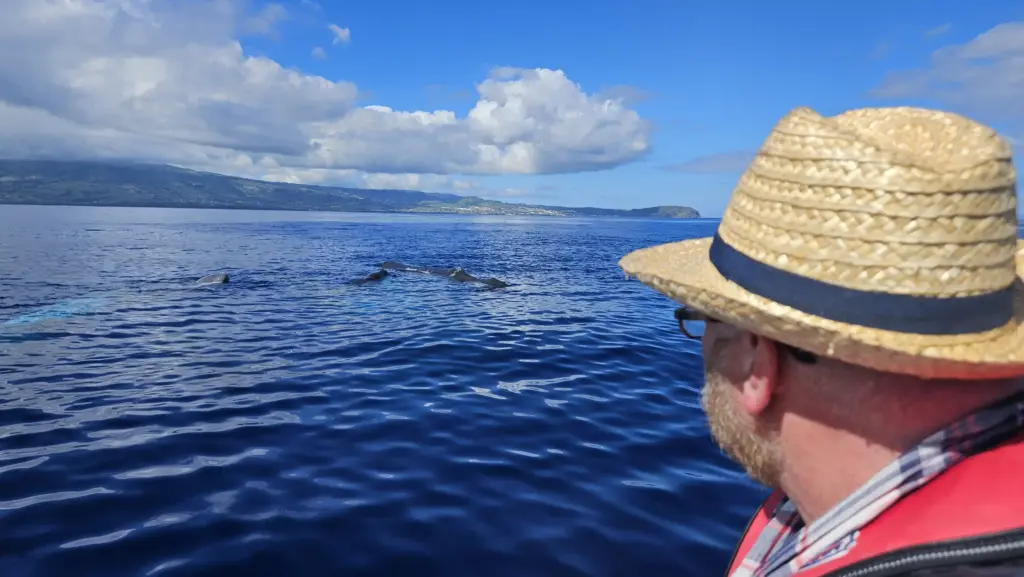 Der Künstler Jörg Mazur beobachtet eine Gruppe von Pottwalen im Meer vor der Insel Faial.